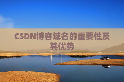 CSDN博客域名的重要性及其优势